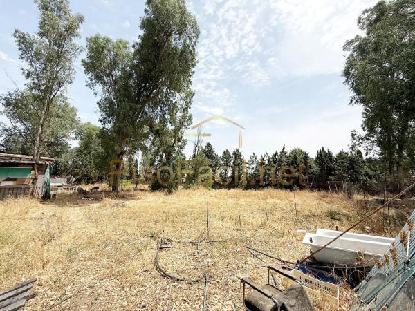 Terreno en Diseminado Camino Griñon