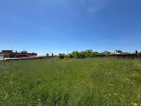 Terreno en camino Torrejón