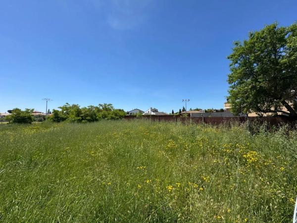 Terreno en camino Torrejón