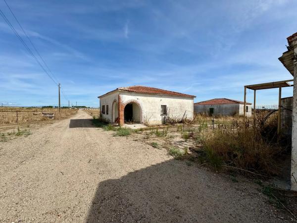 Terreno en camino Palomero