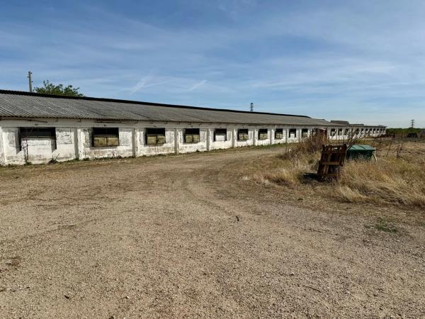 Terreno en camino Palomero