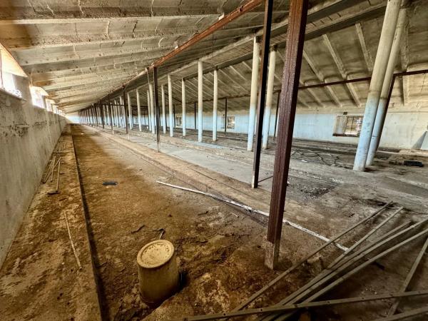 Terreno en camino Palomero