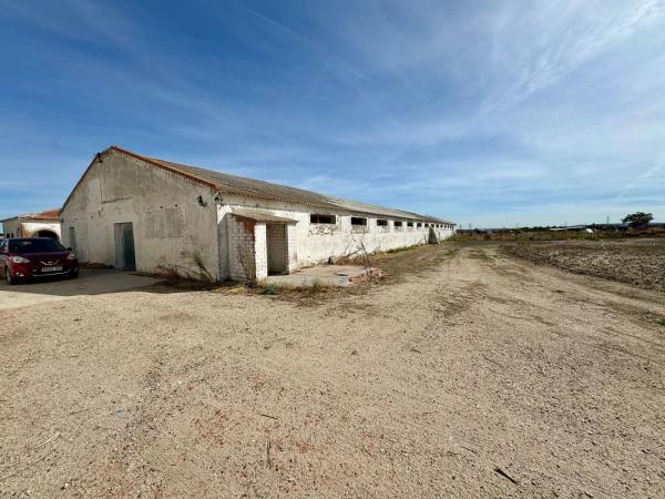 Terreno en camino Palomero