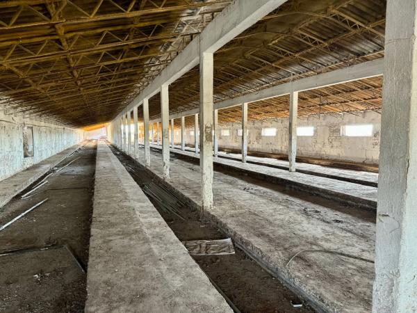 Terreno en camino Palomero