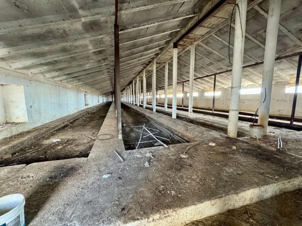 Terreno en camino Palomero