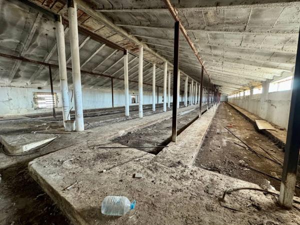 Terreno en camino Palomero