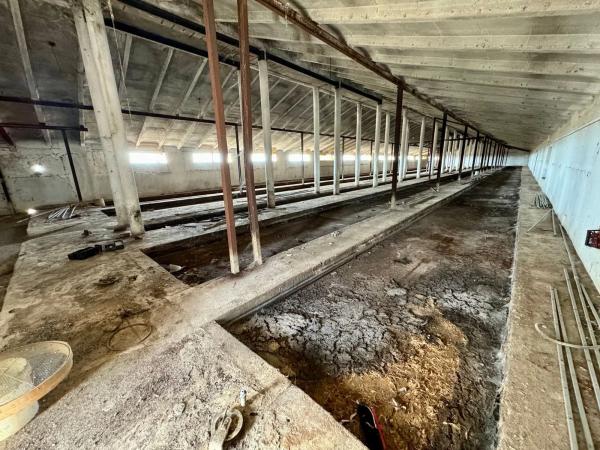 Terreno en camino Palomero