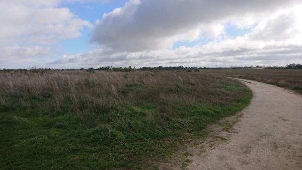 Terreno en vereda Toledana, 1 PolgonoParcela