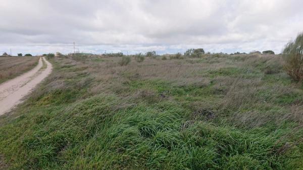 Terreno en vereda Toledana, 1 PolgonoParcela