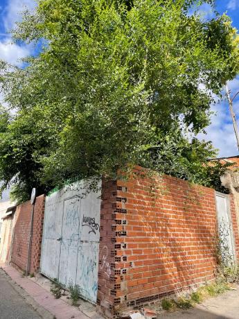 Terreno en calle del Lobo, 10
