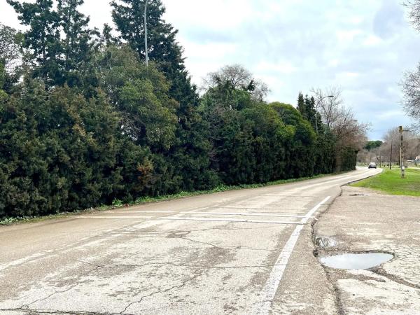 Terreno en Prado Acedinos s/n