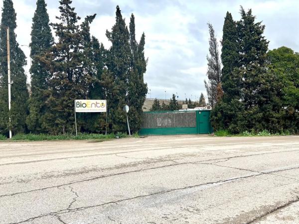 Terreno en Prado Acedinos s/n