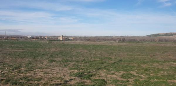 Terreno en camino de la Aldehuela s/n