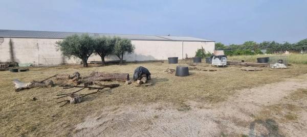 Terreno en calle Humanes