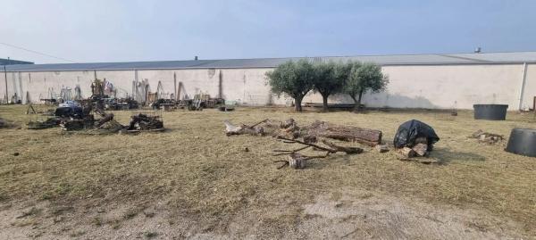 Terreno en calle Humanes