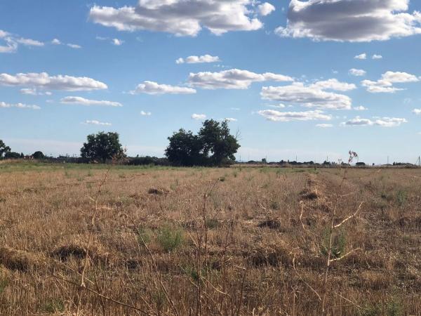 Terreno en vereda del Camino s/n