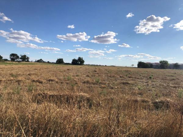 Terreno en vereda del Camino s/n