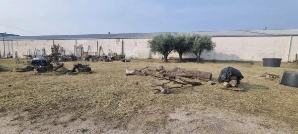 Terreno en carretera de Humanes