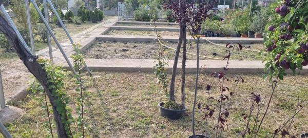 Terreno en carretera de Humanes