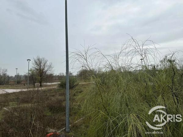Terreno en calle Marengo