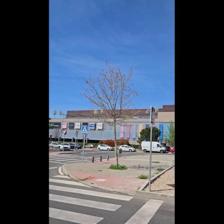 Terreno en calle de Vizcaya