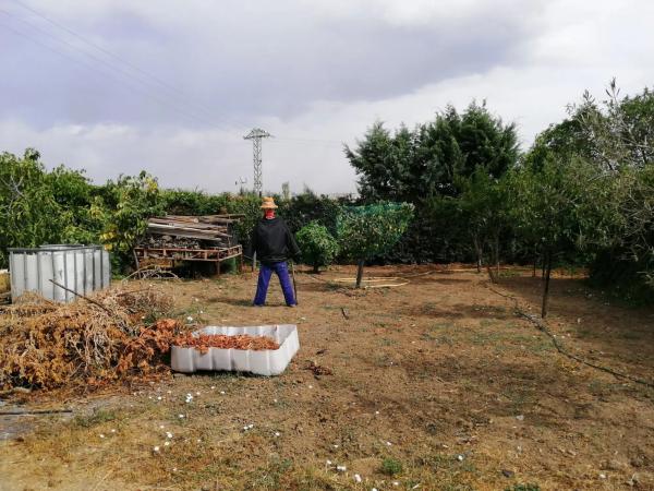Terreno en camino del Monte de Esparteros s/n