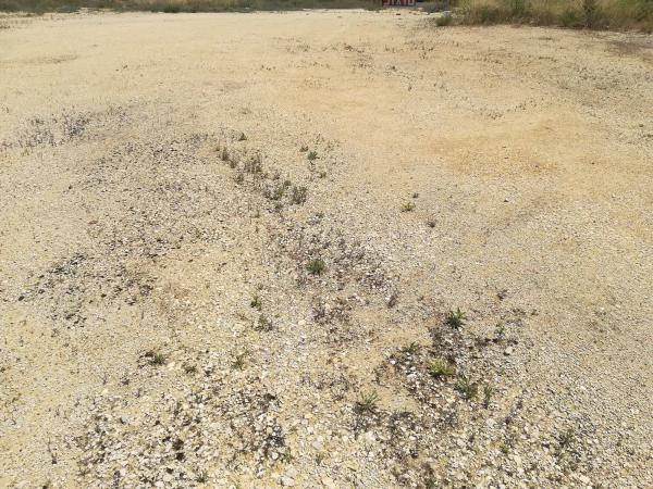 Terreno en Barrio La Fortuna