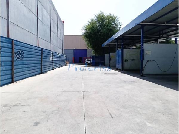 Terreno en calle los Olivos, 4