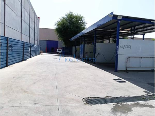 Terreno en calle los Olivos, 4