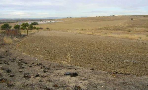 Terreno en Urbanización las Colinas