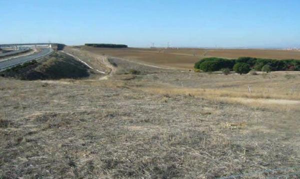 Terreno en Urbanización las Colinas