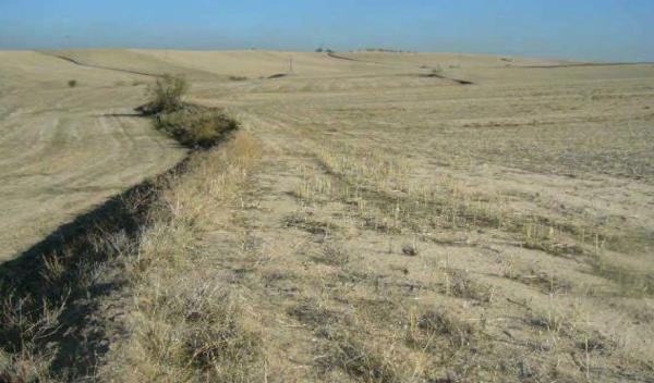 Terreno en Urbanización las Colinas