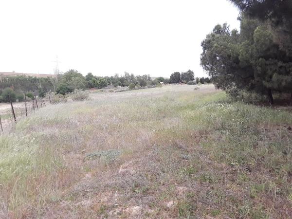 Terreno en camino Batres s/n