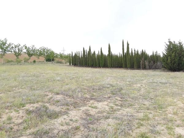 Terreno en camino Batres s/n