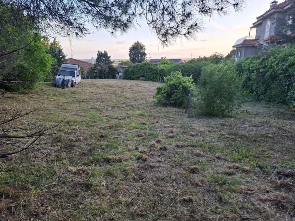 Terreno en calle de los Cedros