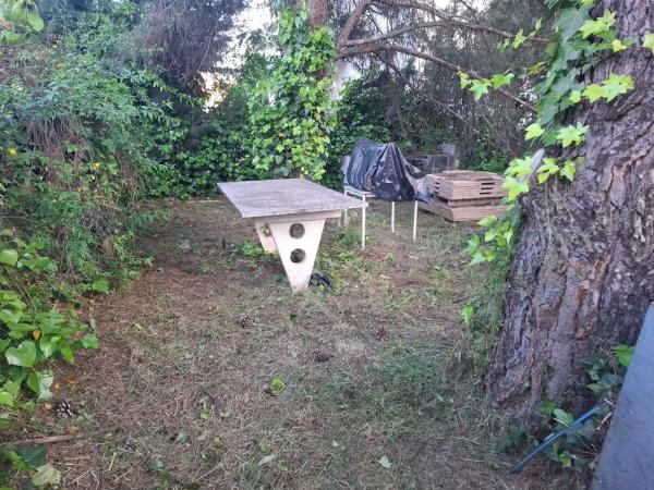 Terreno en calle de los Cedros