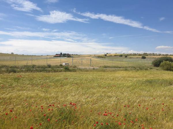 Terreno en camino del Soto de San Marcos s/n
