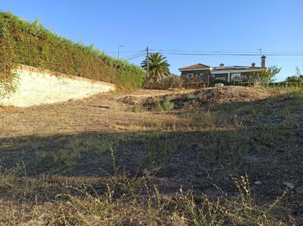 Terreno en calle del Castaño s/n
