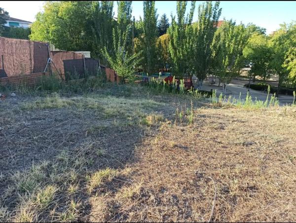 Terreno en calle del Castaño s/n