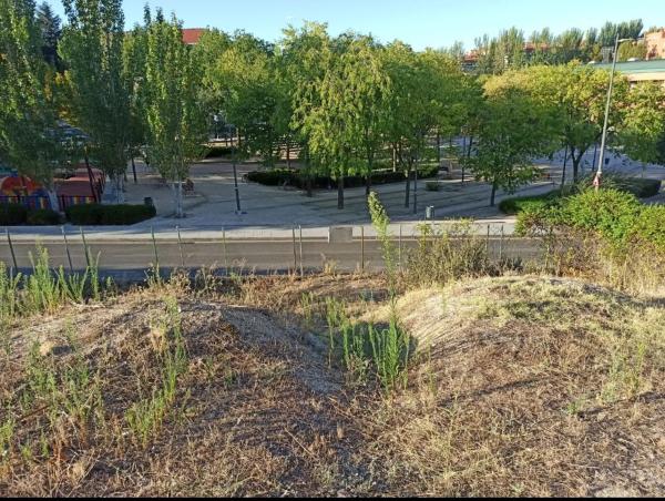 Terreno en calle del Castaño s/n