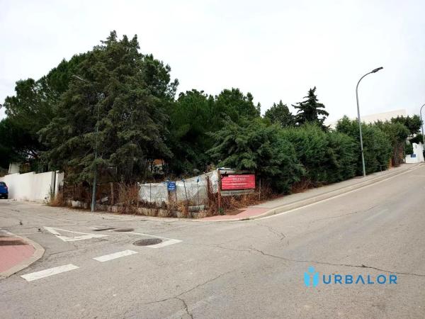 Terreno en calle de la Virgen de Guadalupe