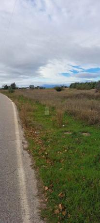 Terreno en camino de las Pajarillas, 10