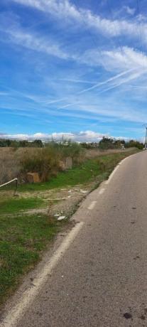 Terreno en camino de las Pajarillas, 10