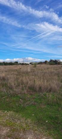 Terreno en camino de las Pajarillas, 10