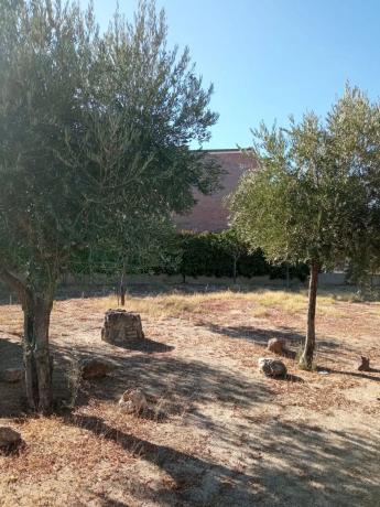 Terreno en calle de Santa Gema, 5