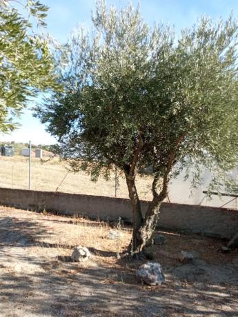 Terreno en calle de Santa Gema, 5