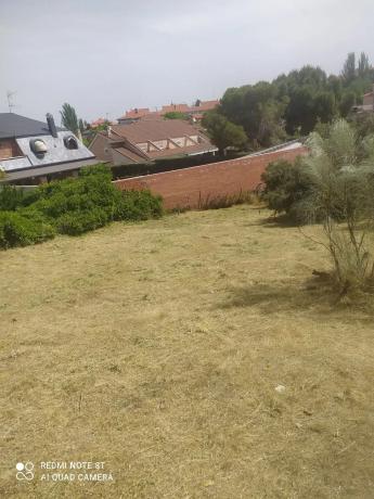 Terreno en calle del Magnolio, 17