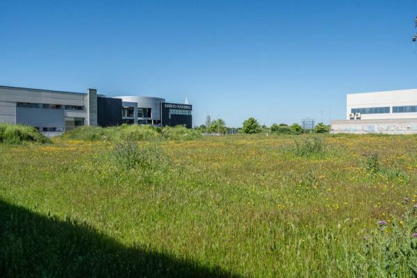 Terreno en calle Federica Montseny, 13