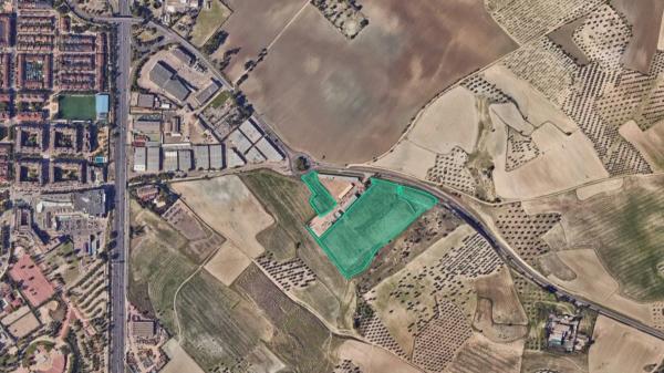 Terreno en camino San Martin de la Vega