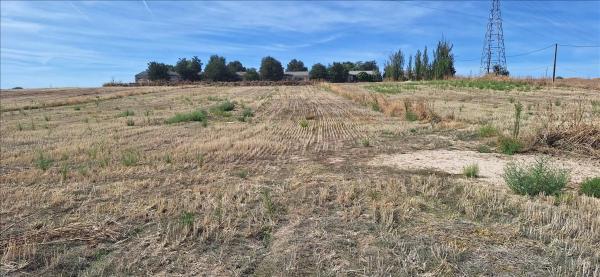 Terreno en camino de los Yeseros
